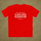 Psalm 91:3 Men's T shirt